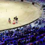 L'Art dels Cavalls Andalusos Tarraco Arena 2016