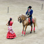 L'Art dels Cavalls Andalusos Tarraco Arena 2016