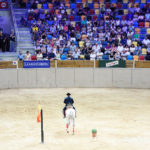 The Art of Andalusian Horses Tarraco Arena 2016