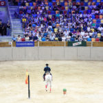 El Arte de los Caballos Andaluces Tarraco Arena 2016