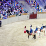 L'Art dels Cavalls Andalusos Tarraco Arena 2016