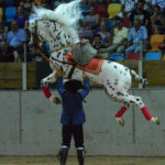 El Arte de los Caballos Andaluces Tarraco Arena 2016