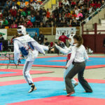 campeonato nacional taekwondo españa tarragona catalunya 2015