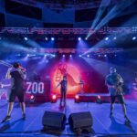 concerts-zoo-tarragona-catalonia-2022